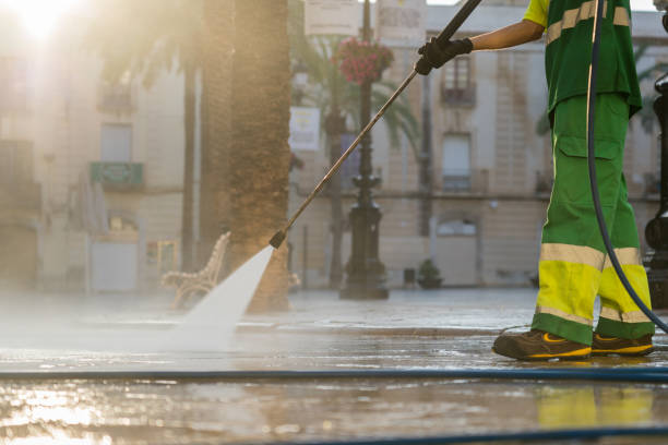Best Animal Enclosure Cleaning  in Weimar, TX